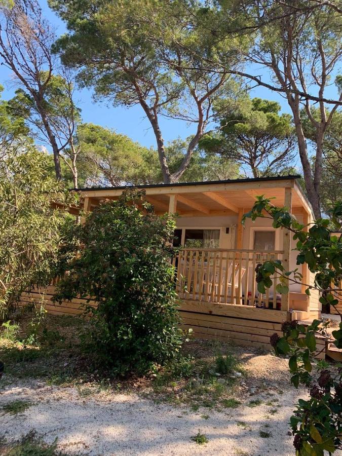 Oaza Mira Mobile Houses - Camp Basko Polje #Bestoffer 巴什卡沃达 外观 照片